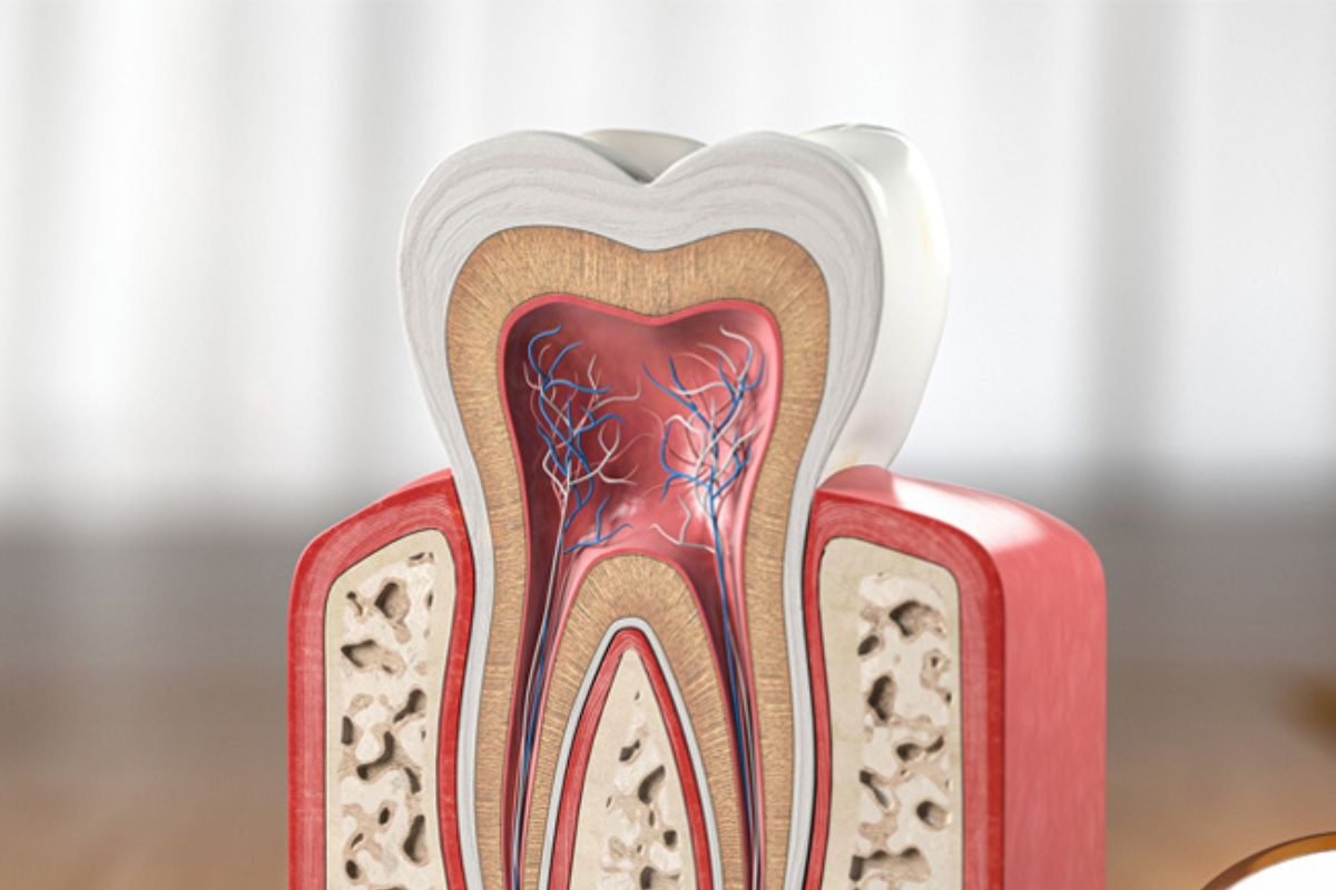 need-for-root-canal-therapy-in-hewlett-ny